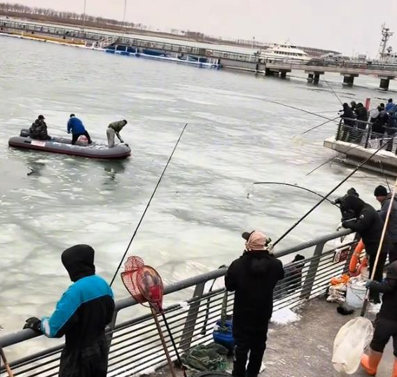 天津一公园海水结冰大量鱼群被冻住